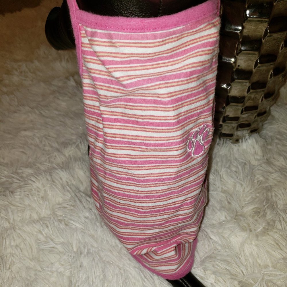 Pretty In Pink Paws - Picture 3 of 5